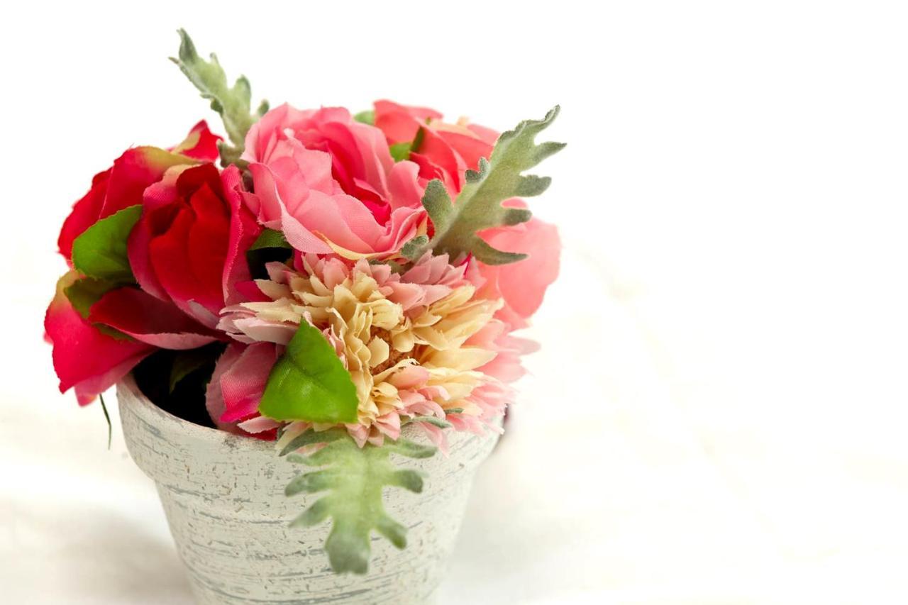 Cherry Blooming Tokyo- All Suite Boutique Hotel 东京伊樱里-中央区全套房艺术酒店 外观 照片